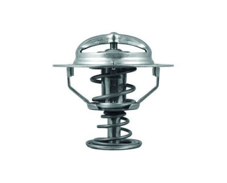 Thermostat, coolant, Image 2