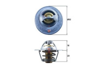 Thermostat, coolant