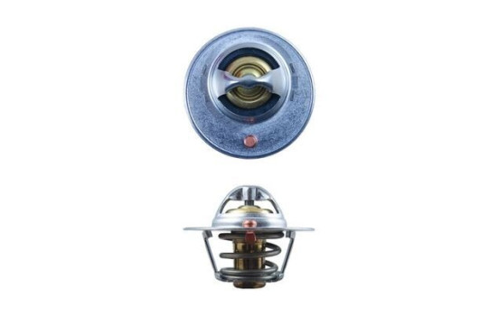 Thermostat, coolant, Image 2