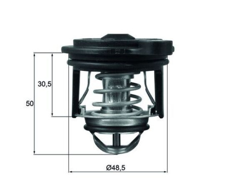 Thermostat, coolant