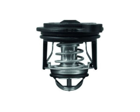 Thermostat, coolant, Image 2