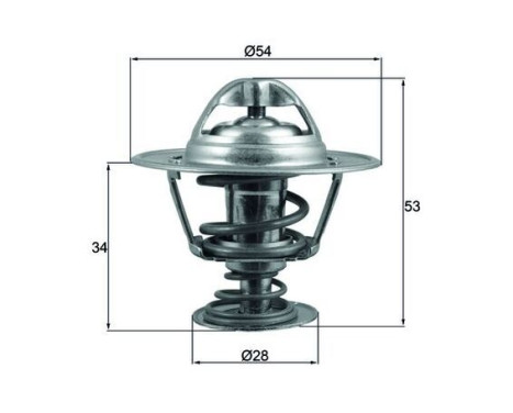 Thermostat, coolant