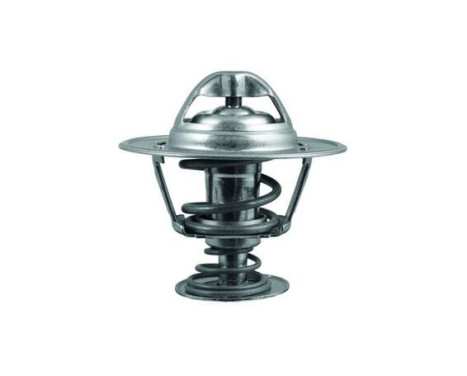 Thermostat, coolant, Image 2