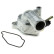 Thermostat, coolant