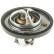 Thermostat, coolant