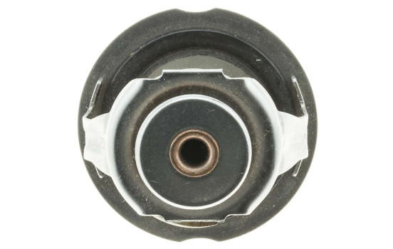 Thermostat, coolant, Image 2