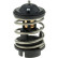 Thermostat, coolant