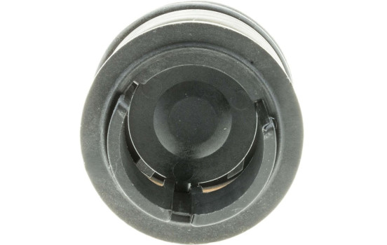 Thermostat, coolant, Image 2