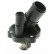 Thermostat, coolant