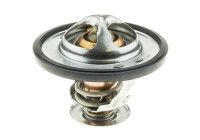 Thermostat, coolant