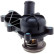 Thermostat, coolant