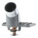 Thermostat, coolant