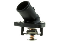 Thermostat, coolant