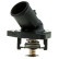 Thermostat, coolant