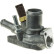 Thermostat, coolant