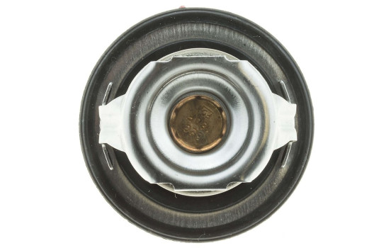 Thermostat, coolant, Image 2