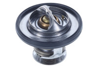 Thermostat, coolant