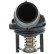 Thermostat, coolant