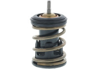Thermostat, coolant
