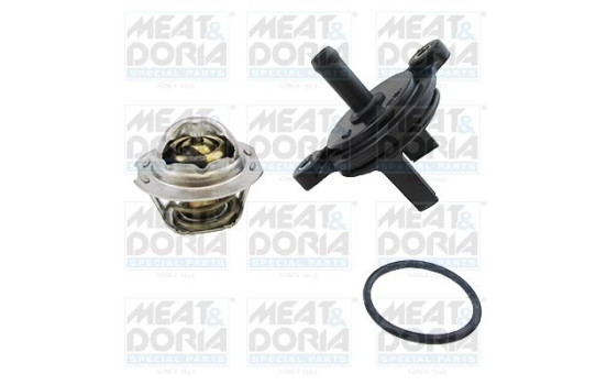 Thermostat, coolant