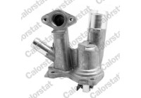 Thermostat, coolant