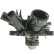 Thermostat, coolant