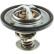 Thermostat, coolant