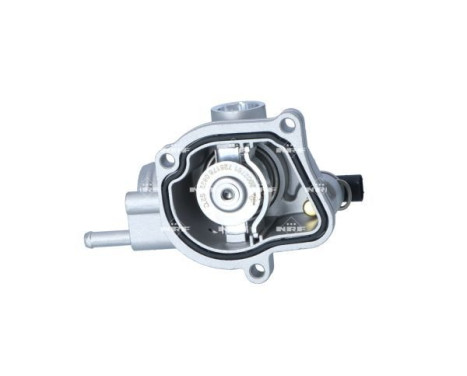 Thermostat, coolant