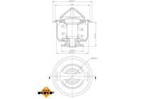 Thermostat, coolant