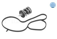 Thermostat, coolant