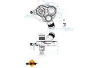 Thermostat, coolant