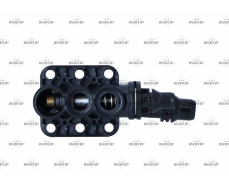 Thermostat, coolant