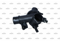 Thermostat, coolant