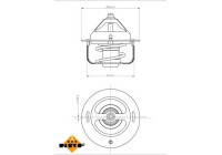Thermostat, coolant