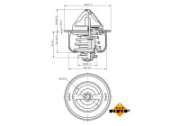 Thermostat, coolant