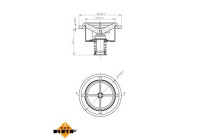 Thermostat, coolant