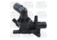 Thermostat, coolant