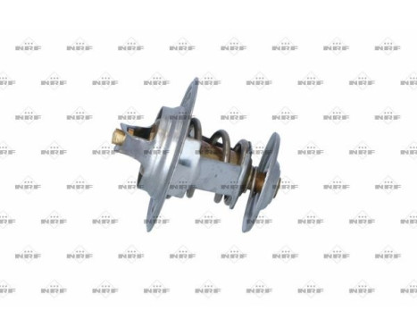Thermostat, coolant, Image 2
