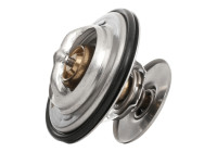 Thermostat, coolant