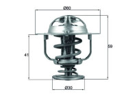 Thermostat, coolant