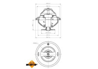 Thermostat, coolant