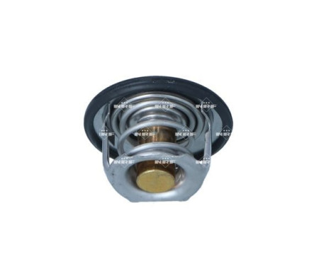 Thermostat, coolant, Image 2