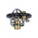 Thermostat, coolant