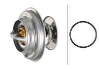 Thermostat, coolant
