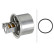 Thermostat, coolant
