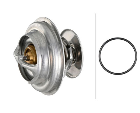 Thermostat, coolant