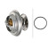 Thermostat, coolant