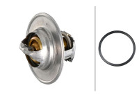 Thermostat, coolant