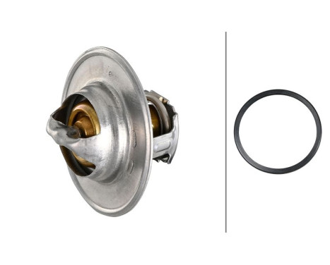 Thermostat, coolant