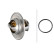 Thermostat, coolant